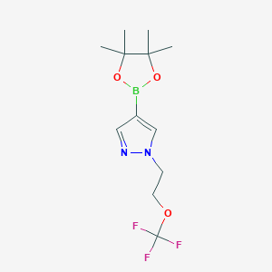 molecular formula C12H18BF3N2O3 B13691427 1-[2-(Trifluoromethoxy)ethyl]pyrazole-4-boronic Acid Pinacol Ester 