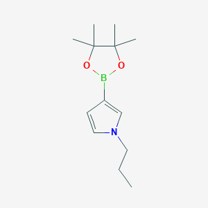 molecular formula C13H22BNO2 B13693219 1-Propylpyrrole-3-boronic Acid Pinacol Ester 