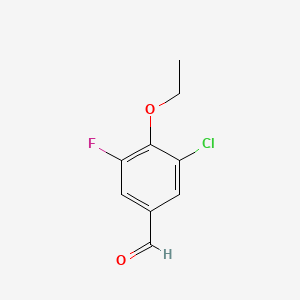 molecular formula C9H8ClFO2 B1369359 3-氯-4-乙氧基-5-氟苯甲醛 CAS No. 883521-79-7