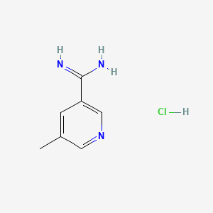 5-Methylpyridine-3-carboximidamide Hydrochloride