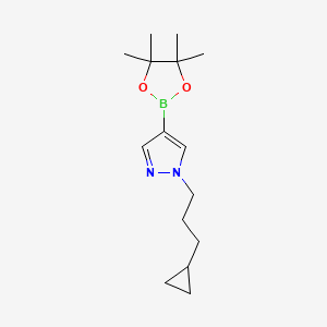 1-(3-Cyclopropylpropyl)pyrazole-4-boronic Acid Pinacol Ester