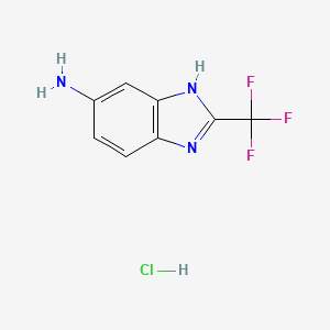 molecular formula C8H7ClF3N3 B1369455 2-三氟甲基-3H-苯并咪唑-5-胺盐酸盐 CAS No. 1185303-39-2