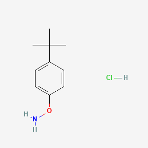 molecular formula C10H16ClNO B13695922 O-(4-(tert-Butyl)phenyl)hydroxylamine hydrochloride 