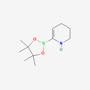 molecular formula C11H20BNO2 B13697117 6-(4,4,5,5-Tetramethyl-1,3,2-dioxaborolan-2-yl)-1,2,3,4-tetrahydropyridine 