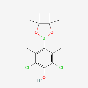 2,6-Dichloro-3,5-dimethylphenol-4-boric Acid Pinacol Ester