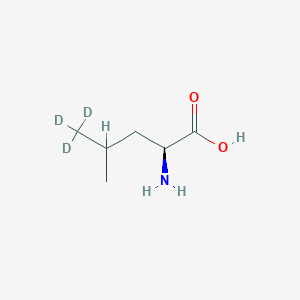 molecular formula C6H13NO2 B136980 L-亮氨酸-5,5,5-d3 CAS No. 87828-86-2