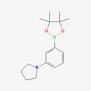 molecular formula C16H24BNO2 B1369918 1-[3-(4,4,5,5-四甲基-1,3,2-二氧杂硼烷-2-基)苯基]吡咯烷 CAS No. 857283-63-7
