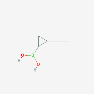 (1R,2R)-2-(tert-Butyl)cyclopropylboronic Acid