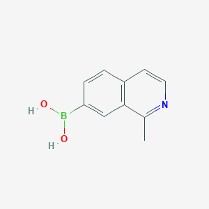 molecular formula C10H10BNO2 B13701523 (1-Methylisoquinolin-7-yl)boronic acid 