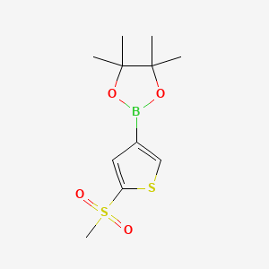 molecular formula C11H17BO4S2 B13703427 5-(Methylsulfonyl)thiophene-3-boronic Acid Pinacol Ester 