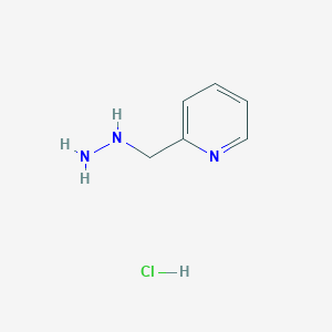 molecular formula C6H10ClN3 B1370362 2-((吡啶-2-基)甲基)肼盐酸盐 CAS No. 237064-55-0