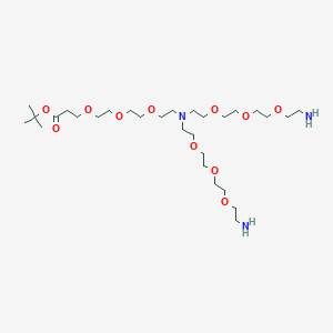 molecular formula C29H61N3O11 B13705475 N-(t-butyl ester-PEG3)-N-bis(PEG3-amine) 