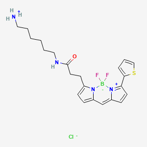 6-[3-(2,2-difluoro-12-thiophen-2-yl-3-aza-1-azonia-2-boranuidatricyclo[7.3.0.03,7]dodeca-1(12),4,6,8,10-pentaen-4-yl)propanoylamino]hexylazanium;chloride