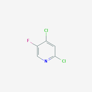 molecular formula C5H2Cl2FN B1370760 2,4-二氯-5-氟吡啶 CAS No. 189281-48-9