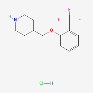 molecular formula C13H17ClF3NO B1370834 4-{[2-(三氟甲基)苯氧基]甲基}哌啶盐酸盐 CAS No. 614731-26-9