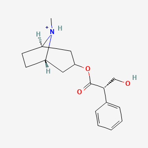 molecular formula C17H24NO3+ B13709115 (S)-Atropine 