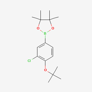 molecular formula C16H24BClO3 B13709355 4-(tert-Butoxy)-3-chlorophenylboronic Acid Pinacol Ester 