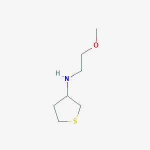 molecular formula C7H15NOS B1370982 N-(2-甲氧基乙基)硫烷-3-胺 CAS No. 1019499-22-9