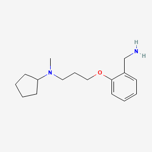 molecular formula C16H26N2O B1370987 N-{3-[2-(氨甲基)苯氧基]丙基}-N-甲基环戊胺 CAS No. 1094804-69-9