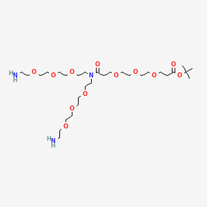 molecular formula C30H61N3O12 B13710841 Tert-butyl 3-[2-[2-[3-[bis[2-[2-[2-(2-aminoethoxy)ethoxy]ethoxy]ethyl]amino]-3-oxopropoxy]ethoxy]ethoxy]propanoate 