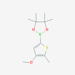 molecular formula C12H19BO3S B13711089 4-Methoxy-5-methylthiophene-2-boronic Acid Pinacol Ester 