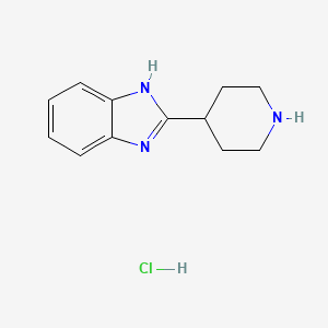 2-Piperidin-4-YL-1H-benzoimidazole hydrochloride