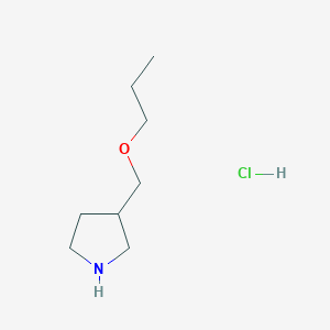 3-(Propoxymethyl)pyrrolidine hydrochloride