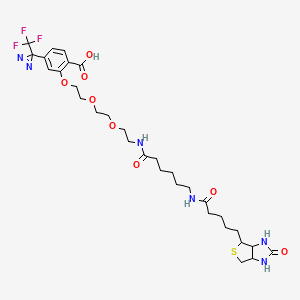 2-[2-[2-[2-[6-(Biotinylaminohexanoyl]aminoethoxy]ethoxy]ethoxy]-4-[3-(trifluoromethyl)-3H-diazirin-3-yl]benzoic Acid