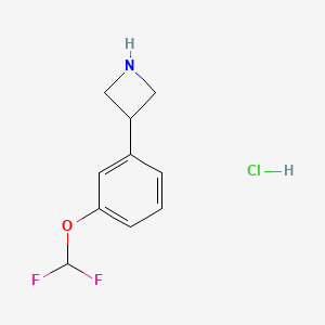 molecular formula C10H12ClF2NO B13712725 3-(3-(Difluoromethoxy)phenyl)azetidine hydrochloride 