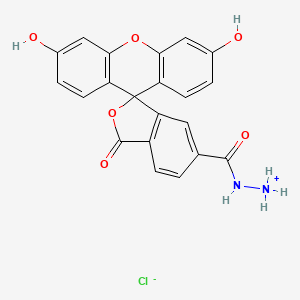 molecular formula C21H15ClN2O6 B13713435 [(3',6'-Dihydroxy-1-oxospiro[2-benzofuran-3,9'-xanthene]-5-carbonyl)amino]azanium;chloride 