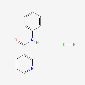 molecular formula C12H11ClN2O B1371447 N-苯基烟酰胺盐酸盐 CAS No. 69135-90-6
