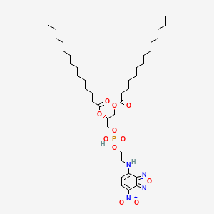 1,2-Dimyristoyl-sn-glycero-3-phosphoethanolamine, 7-nitrobenzofurazan-labeled