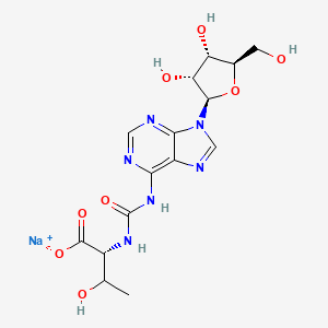 t6-Adot