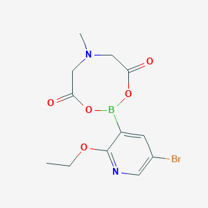 2-(5-Bromo-2-ethoxy-3-pyridyl)-6-methyl-1,3,6,2-dioxazaborocane-4,8-dione