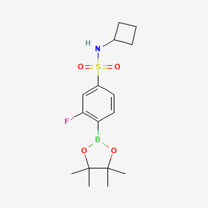 molecular formula C16H23BFNO4S B13715466 N-Cyclobutyl-3-fluoro-4-(4,4,5,5-tetramethyl-1,3,2-dioxaborolan-2-yl)benzenesulfonamide 