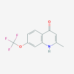 4-Hydroxy-2-methyl-7-trifluoromethoxyquinoline