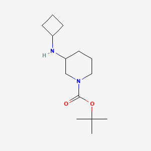 molecular formula C14H26N2O2 B1371672 Tert-butyl 3-(cyclobutylamino)piperidine-1-carboxylate CAS No. 1002359-87-6