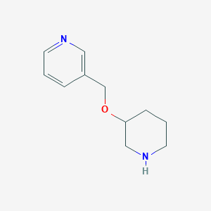 molecular formula C11H16N2O B1371718 3-[(哌啶-3-氧基)甲基]吡啶 CAS No. 933758-64-6