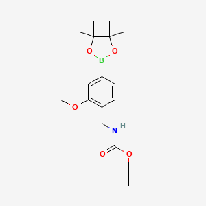 [2-Methoxy-4-(4,4,5,5-tetramethyl-[1,3,2]dioxaborolan-2-yl)-benzyl]-carbamic acid tert-butyl ester