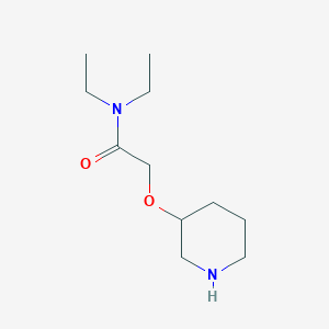 molecular formula C11H22N2O2 B1371792 N,N-二乙基-2-(哌啶-3-氧基)乙酰胺 CAS No. 902836-74-2