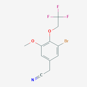 molecular formula C11H9BrF3NO2 B1372015 2-[3-Bromo-5-methoxy-4-(2,2,2-trifluoroethoxy)phenyl]acetonitrile CAS No. 1209382-96-6