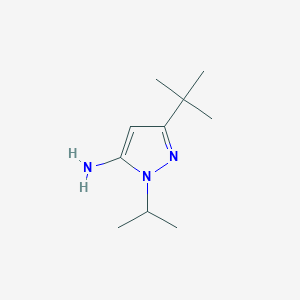 molecular formula C10H19N3 B1372095 3-(叔丁基)-1-异丙基-1H-吡唑-5-胺 CAS No. 874136-23-9