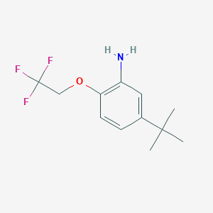 5-tert-Butyl-2-(2,2,2-trifluoroethoxy)-phenylamine