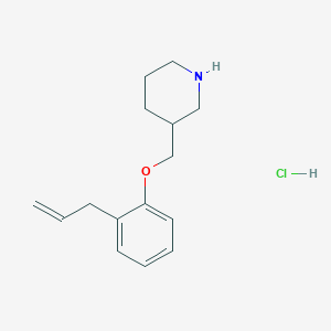 molecular formula C15H22ClNO B1372129 3-[(2-烯丙基苯氧基)甲基]哌啶盐酸盐 CAS No. 1185297-52-2