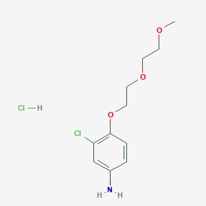 molecular formula C11H17Cl2NO3 B1372150 盐酸 3-氯-4-[2-(2-甲氧基乙氧基)乙氧基]苯胺 CAS No. 1185295-26-4