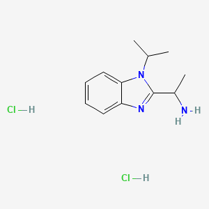 molecular formula C12H19Cl2N3 B1372184 1-(1-Isopropyl-1h-benzoimidazol-2-yl)-ethylamine dihydrochloride CAS No. 1185299-14-2