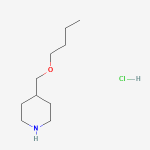 molecular formula C10H22ClNO B1372187 4-(丁氧基甲基)哌啶盐酸盐 CAS No. 1185067-72-4