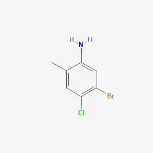 molecular formula C7H7BrClN B1372228 5-溴-4-氯-2-甲基苯胺 CAS No. 1126367-88-1