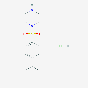 molecular formula C14H23ClN2O2S B1372243 1-[(4-叔丁基苯基)磺酰基]哌嗪盐酸盐 CAS No. 1171234-46-0