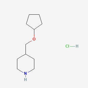 molecular formula C11H22ClNO B1372260 4-[(Cyclopentyloxy)methyl]piperidine hydrochloride CAS No. 1170999-61-7